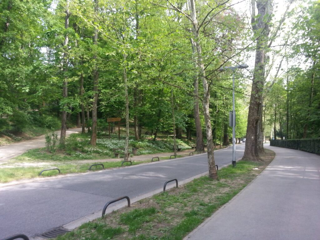 Dubravkin put