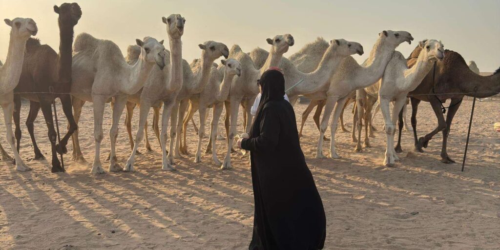Desert Safari, Buggies, Camels & Kuwait Towers
