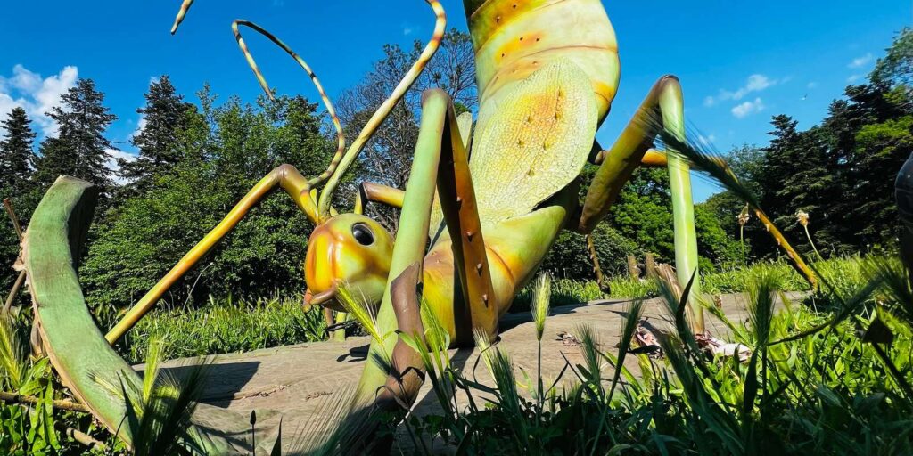 Giant Bugs Interactive Exhibition