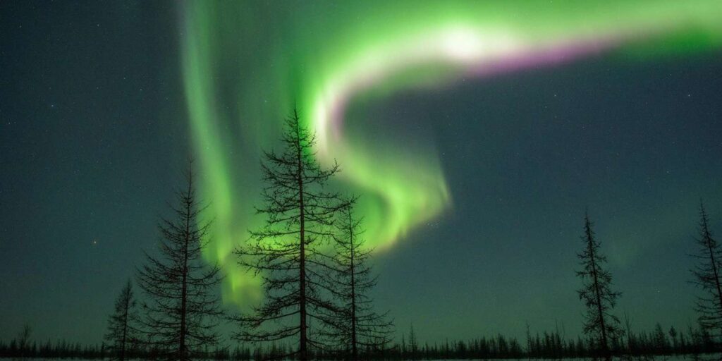 Rovaniemi Northern Lights Hunt with BBQ