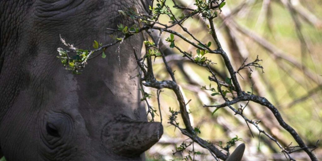 Kragga Kamma Game Park