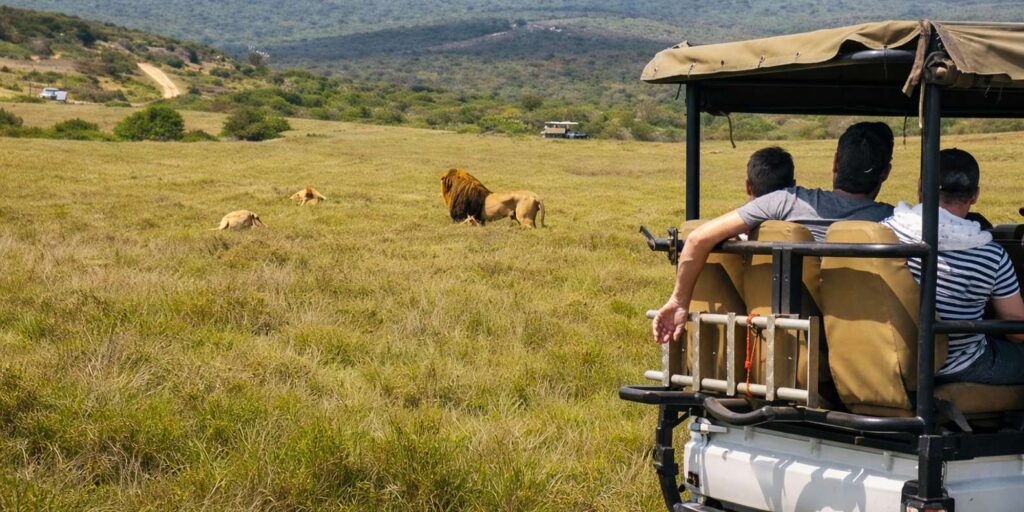 Schotia Private Game Reserve Big Five Safari