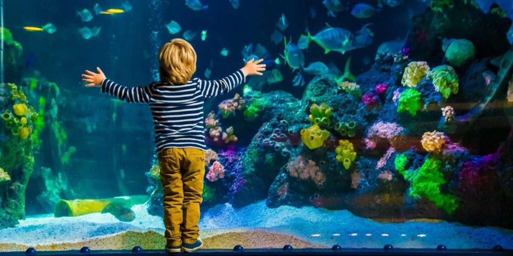 Sea Life Helsinki Aquarium Entry
