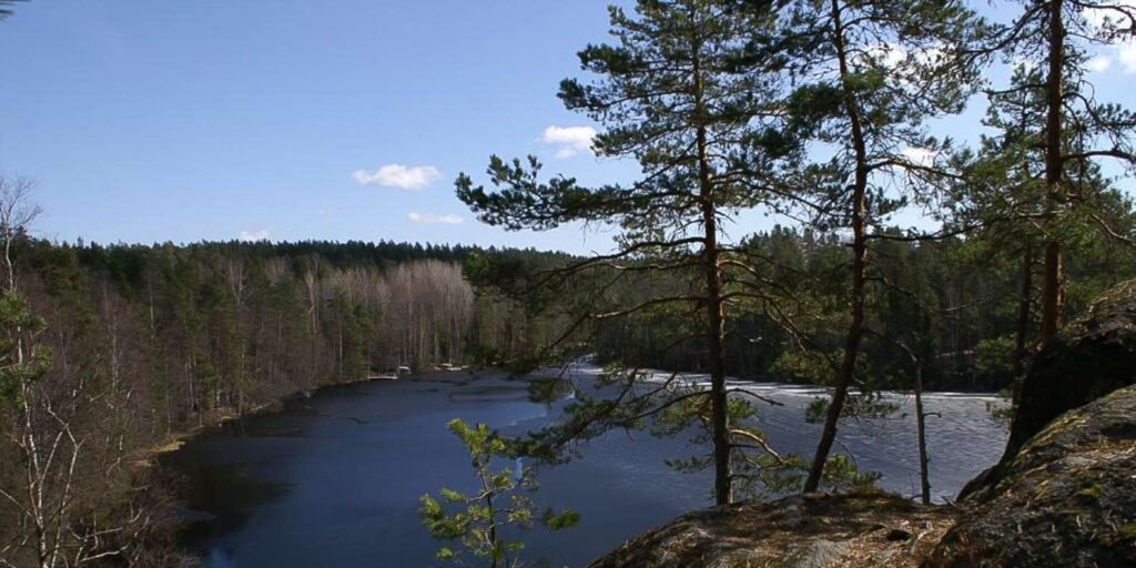Nuuksio National Park Half-Day Trip