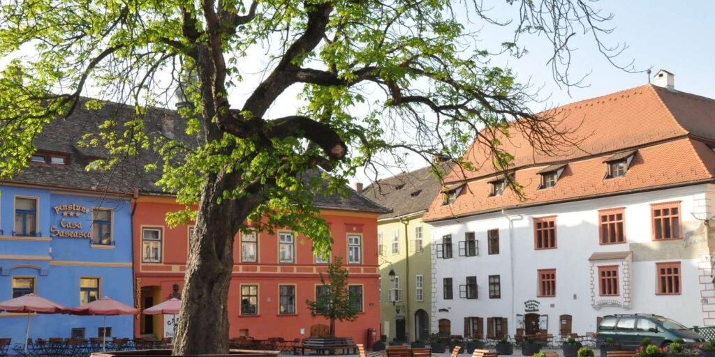 Sighișoara Citadel Guided Walking Tour