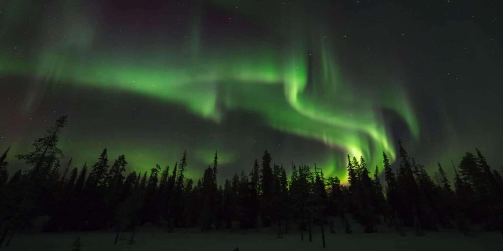 Sodankylä Northern Lights Tour with Campfire