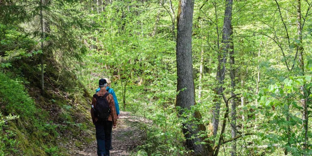 Sigulda Hiking Tour: A Day in the Switzerland of Latvia