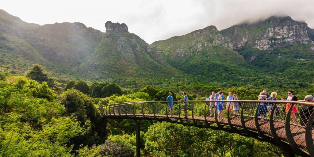 Kirstenbosch National Botanical Garden