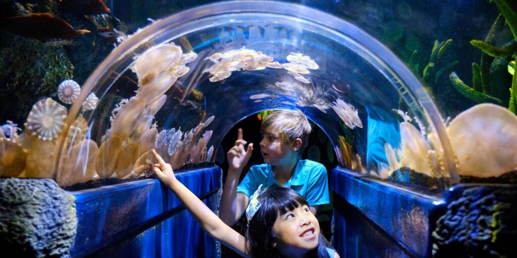 SEA LIFE Melbourne Aquarium