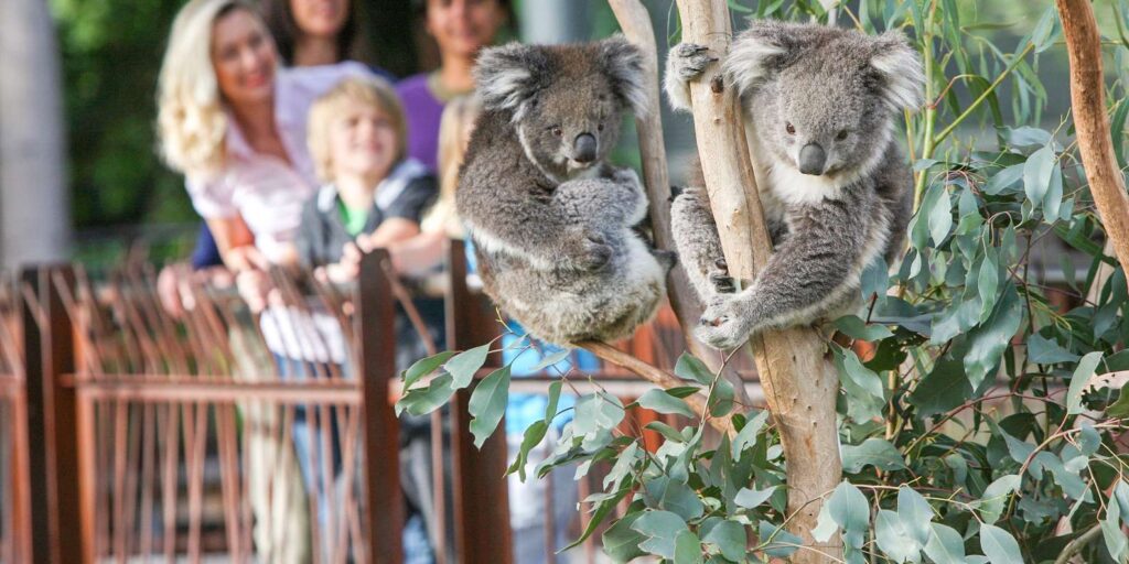 Melbourne Zoo