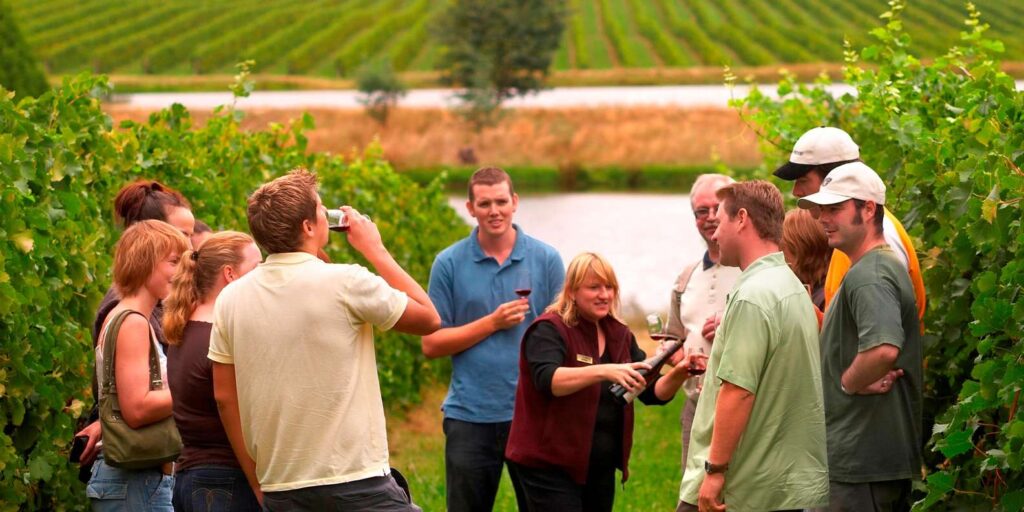 Yarra Valley wine day out