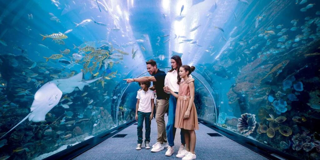 Dubai Aquarium and Underwater Zoo