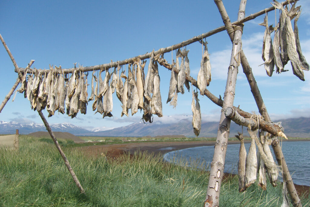 The Icelandic Kitchen: 5 Classic Foods You Didn’t Think of Trying